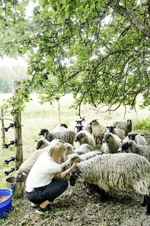 Farm stay Lindeborgs Eco Retreat *